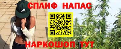 сатива Нягань