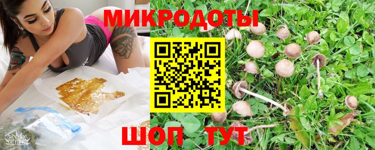 Псилоцибиновые грибы GOLDEN TEACHER Полысаево